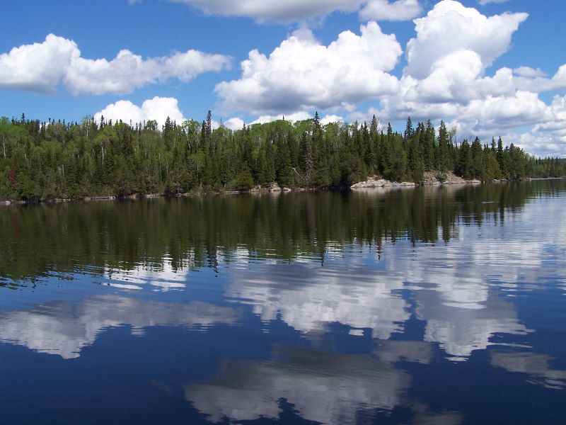Lake with tree and clouds reflection